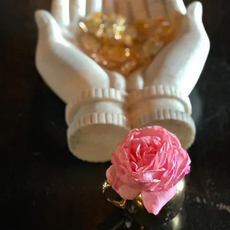 La 1901 Frühstückspension